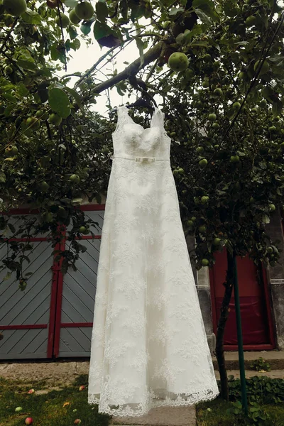 Elegantní, stylové bílé svatební šaty — Stock fotografie