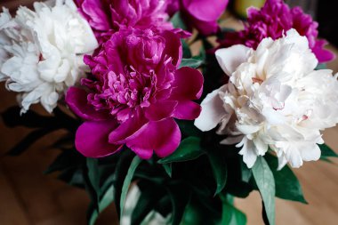 güzel peonies demet