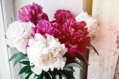 güzel peonies demet
