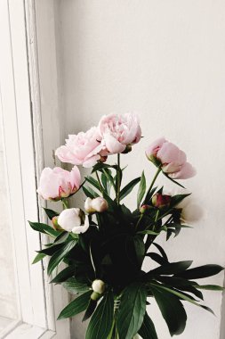 güzel Şakayık pembe ve beyaz çiçekler 