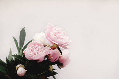 güzel Şakayık pembe çiçekler 