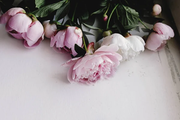 素敵なピンクの花 — ストック写真