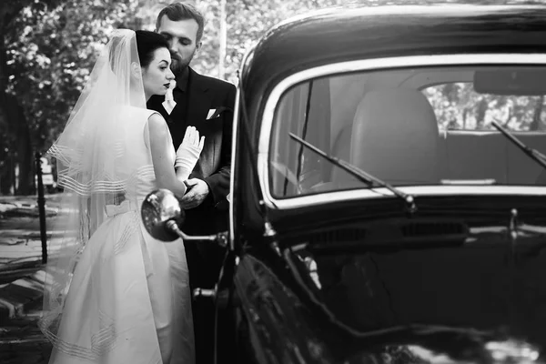 Luxury elegant wedding couple — Stock Photo, Image