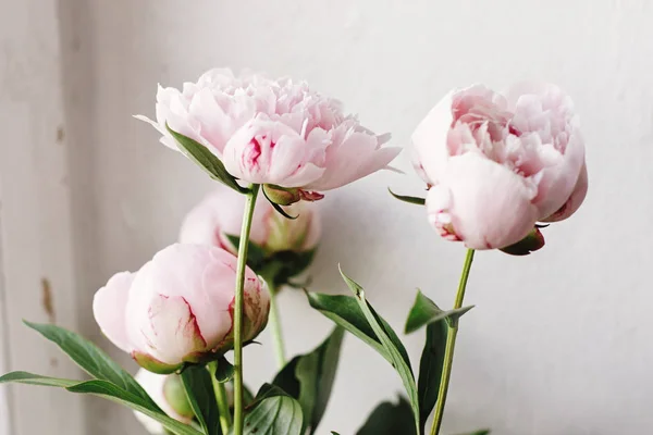 Linda peônia rosa e flores brancas — Fotografia de Stock