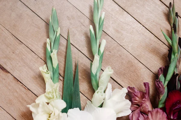 Gladiolus indah dalam warna yang berbeda — Stok Foto