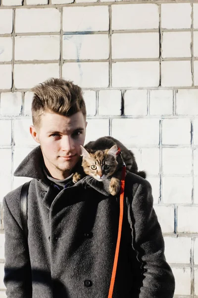 时尚的男人，与可爱的小猫 — 图库照片