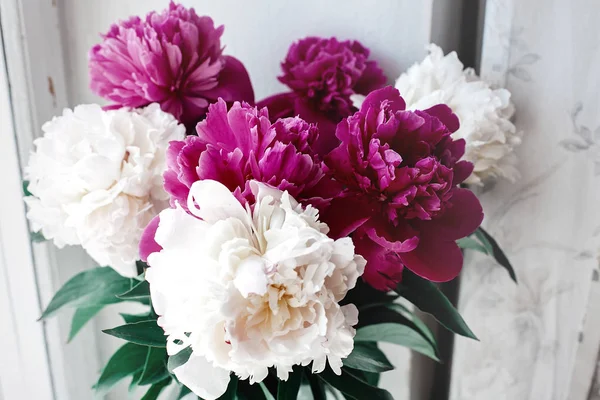 Beautiful bunch of peonies — Stock Photo, Image