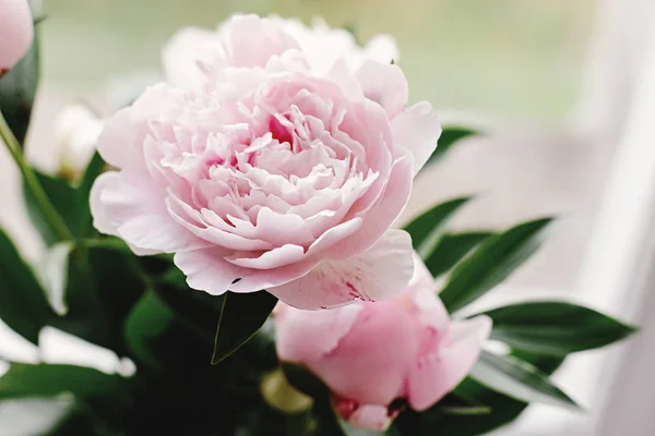 Linda peônia rosa e flores brancas — Fotografia de Stock