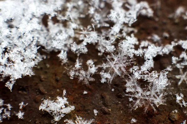 Cristais de flocos de neve — Fotografia de Stock