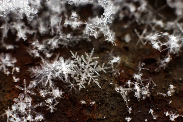 Cristalli di fiocco di neve — Foto Stock