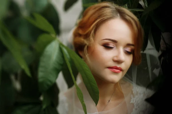 Bride with green leaves — Stock Photo, Image