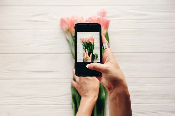 Person taking photo of tulips — Stock Photo, Image