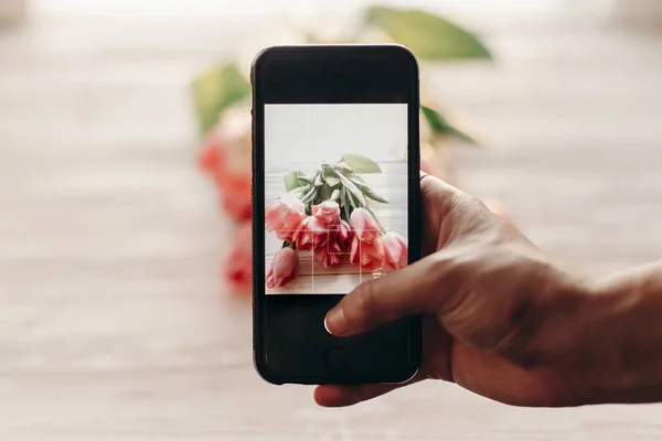 Foto de tulipanes rosados — Foto de Stock