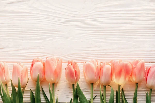 Tulip pink di atas meja — Stok Foto