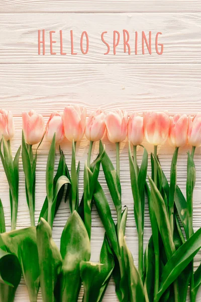 Tulips with hello spring text — Stock Photo, Image