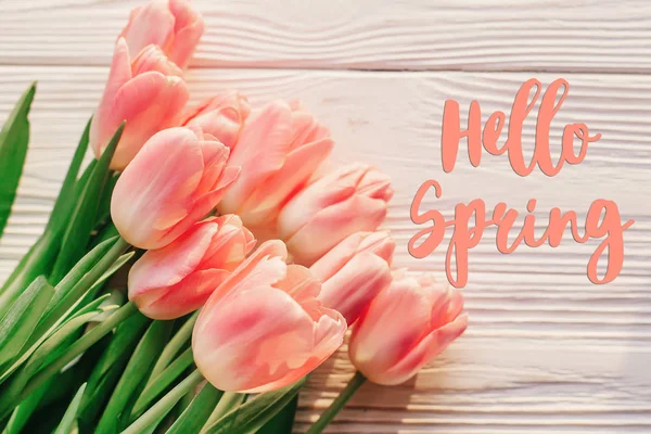 Tulips with hello spring text — Stock Photo, Image