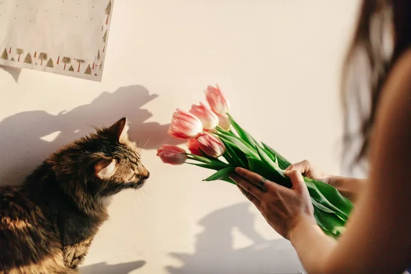Söt katt leker med tulpaner — Stockfoto