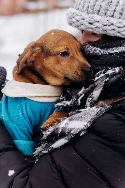 Vrouw knuffelen puppy — Stockfoto