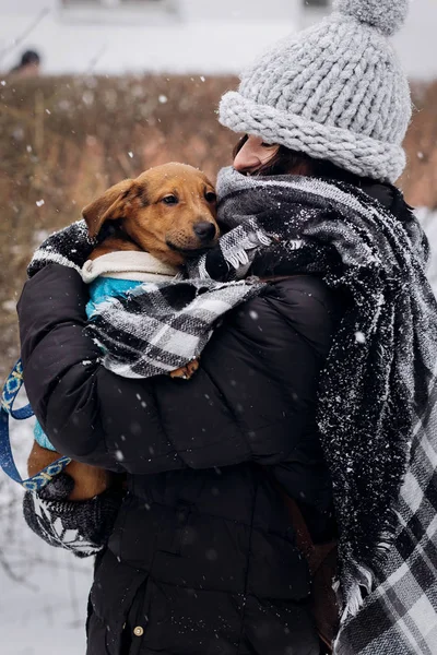 Girl hugging and caressing puppy — Stock Photo, Image