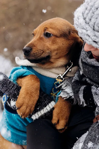 Jonge vrouw met bruin puppy — Stockfoto