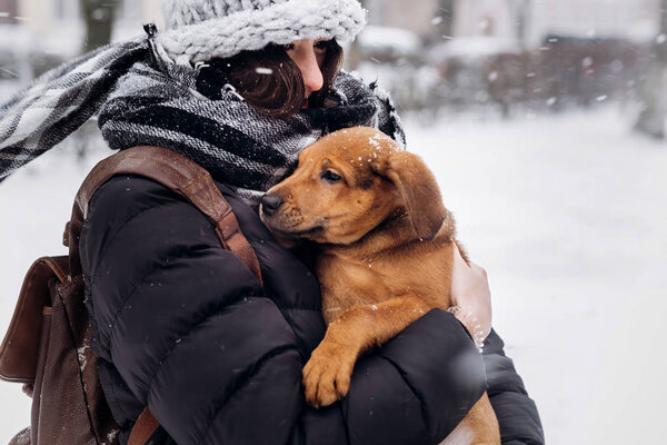 Girl hugging puppy Stock Picture