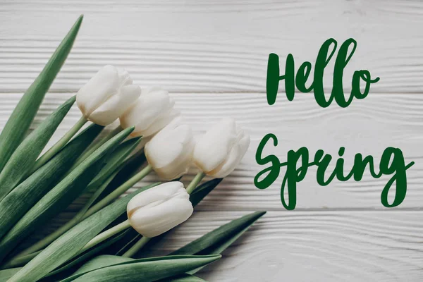 Hallo Frühling Text und Tulpen — Stockfoto
