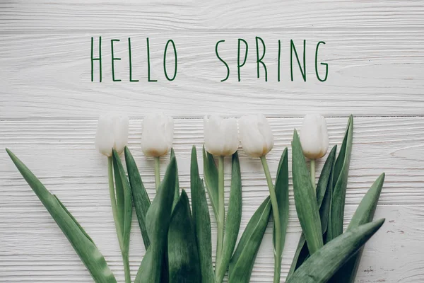 Bonjour texte de printemps et tulipes — Photo