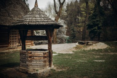 Geleneksel Ukrayna su iyi