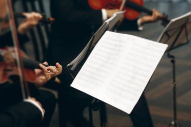 yaylı çalgılar dörtlüsü düğünde gerçekleştirme