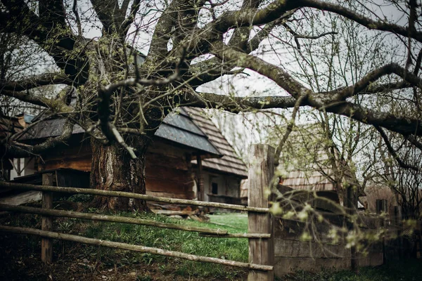 Old wooden fence — Stock Photo, Image