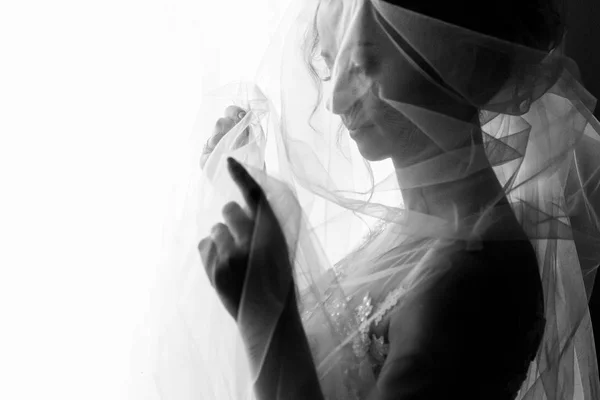 Véu de noiva — Fotografia de Stock
