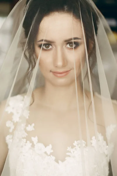 Morena novia bajo velo —  Fotos de Stock