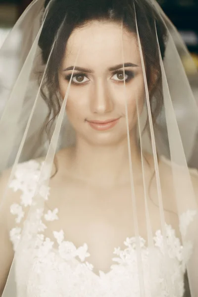 Brunette bride under veil — Stock Photo, Image