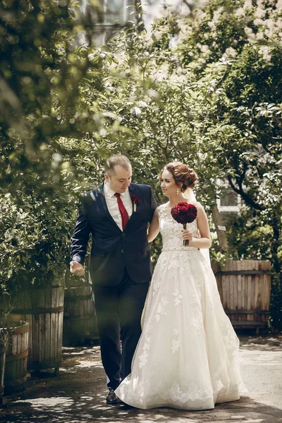 Nygift par promenader i parken — Stockfoto