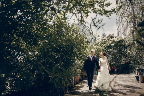 Casal recém-casado andando no parque — Fotografia de Stock