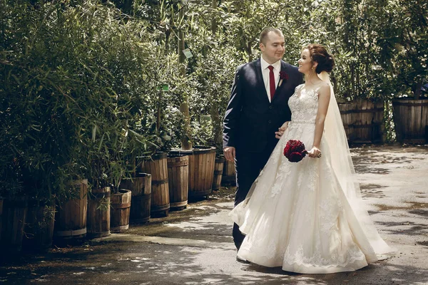 Pareja recién casada caminando en el parque —  Fotos de Stock