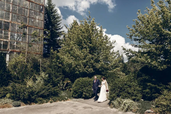 植物園の新婚カップル — ストック写真