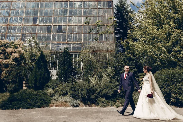 Pareja recién casada en jardín botánico —  Fotos de Stock