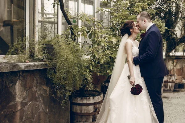 Noivo beijando noiva sorridente — Fotografia de Stock