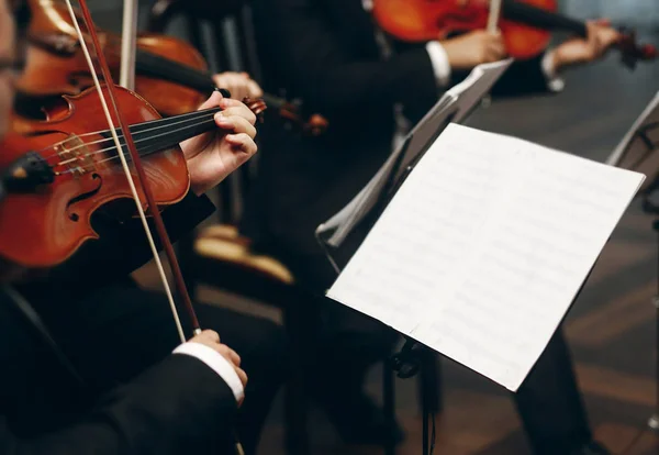 Quartetto d'archi esibendosi al matrimonio — Foto Stock