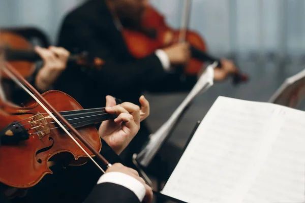 Quarteto de cordas se apresentando no casamento — Fotografia de Stock