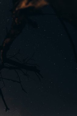 Yıldızlı gece gökyüzü