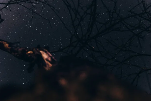 Langit malam dengan bintang-bintang — Stok Foto