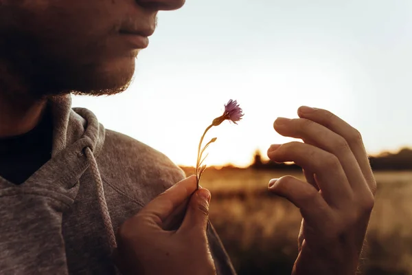 Peygamber Çiçeği holding eller — Stok fotoğraf