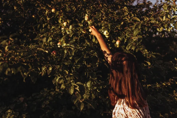 Nő felvette alma — Stock Fotó