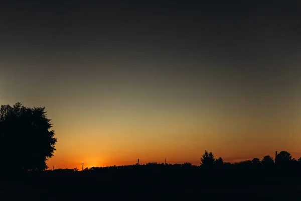 Zachód słońca w lato pole — Zdjęcie stockowe