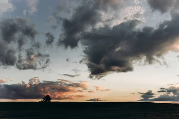 Baumsilhouette und Wolken — Stockfoto