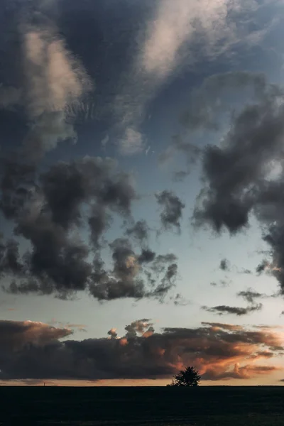Силуэт деревьев и облака — стоковое фото