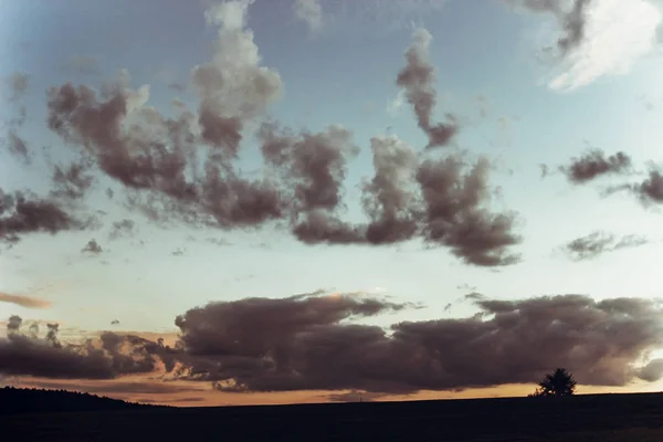 Силуэт деревьев и облака — стоковое фото