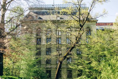 evde Botanik Bahçesi 